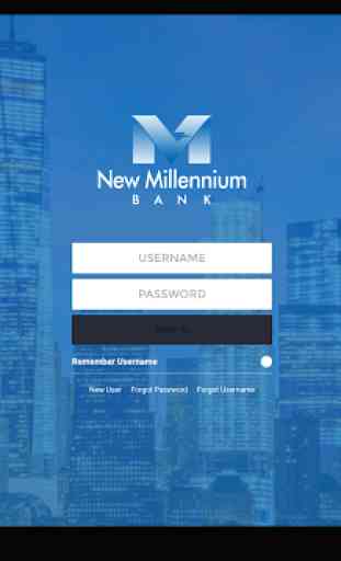 New Millennium Bank 3
