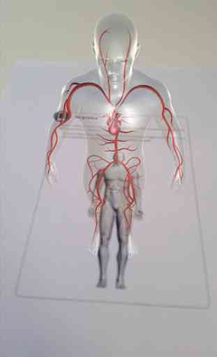 Sagah - Anatomia Humana 2