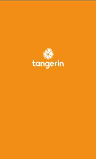 Tangerin Lite - Gestão Empresarial Inteligente 4