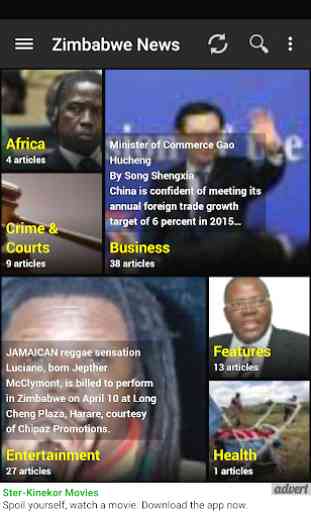 The Zimbabwe News 1