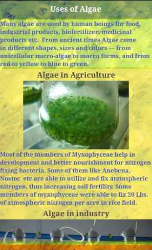 Useful Algae & their Applications 2