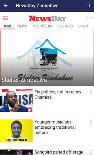 Zimbabwe Newspapers 3