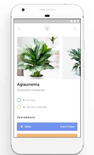 Planter - Your mobile plant-care advisor 3