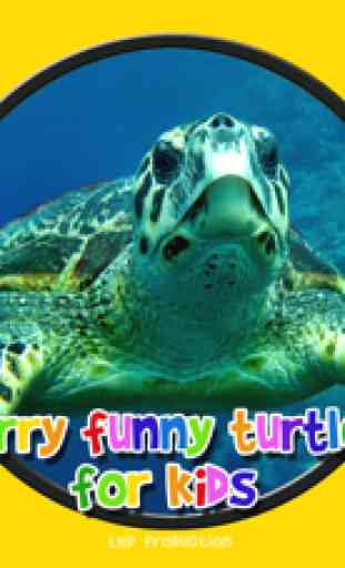 tartarugas muito engraçados - jogo livre 2