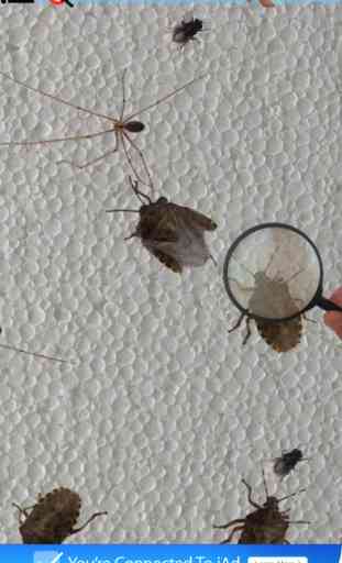 Bytesects esmagar insetos  formigas reais  jogo e protetor de tela 2