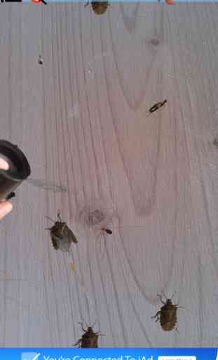 Bytesects esmagar insetos  formigas reais  jogo e protetor de tela 3