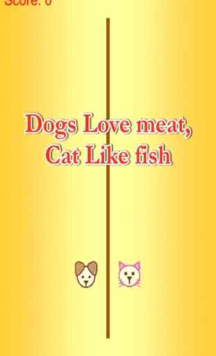 gato comer peixe - carne amor do cão livre 1