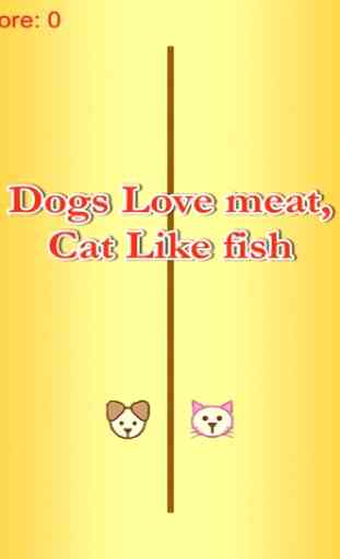 gato comer peixe - carne amor do cão livre 4