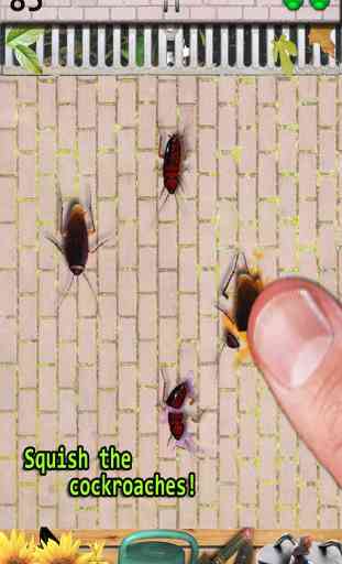Cockroach Smasher Esmaga Barata 1