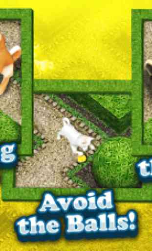 Cool Dog Meu Cão Jogo de Labirinto Crianças Grátis 3