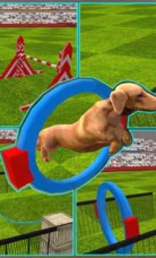 Mostra de cão simulador 3D: treinar cachorros e realizar acrobacias incríveis 2