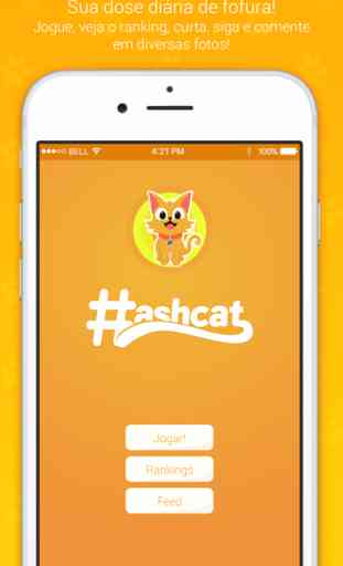 Hashcat - Rede social de gatos 1