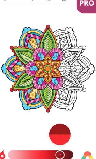 Desenhos de Mandalas para Pintar para Adultos PRO 3