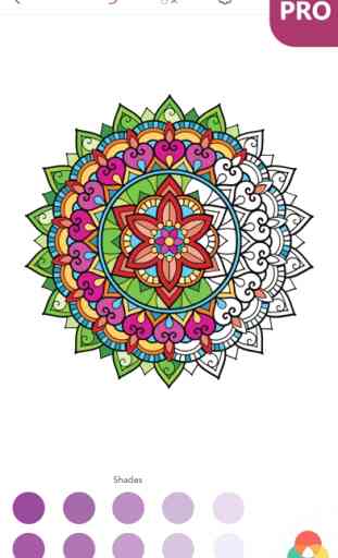 Desenhos de Mandalas para Pintar para Adultos PRO 4