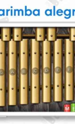 Xilofone - Marimba e Vibrafone 3