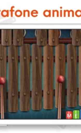 Xilofone - Marimba e Vibrafone 4