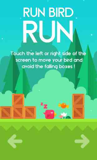 Run Bird Run! 2