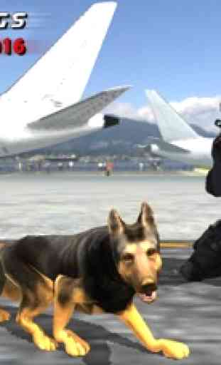 aeroporto polícia cachorro dro 2