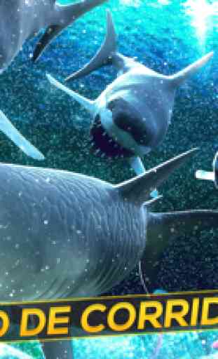 Corrida de Tubarão 2016 | Jogo Simulador de Aventura no Mar Gratis 1