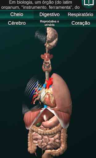 Órgãos Internos em 3D (Anatomia) 1