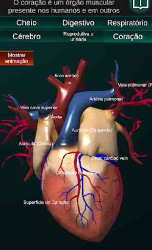 Órgãos Internos em 3D (Anatomia) 2