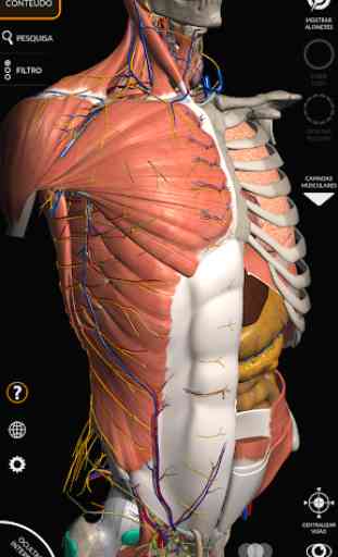 Anatomia - Atlas 3D 1