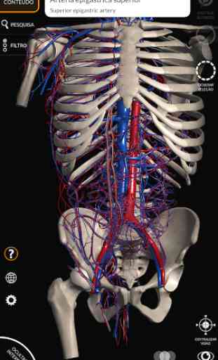 Anatomia - Atlas 3D 2