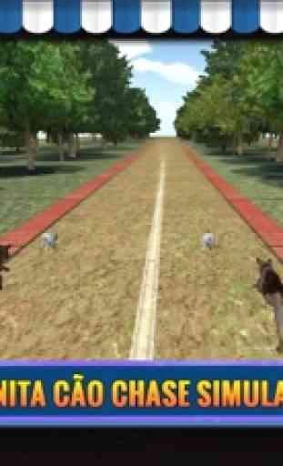 Angry Dog Endless Runner: Temple Jumping and Subway Surfing 3D Game 3