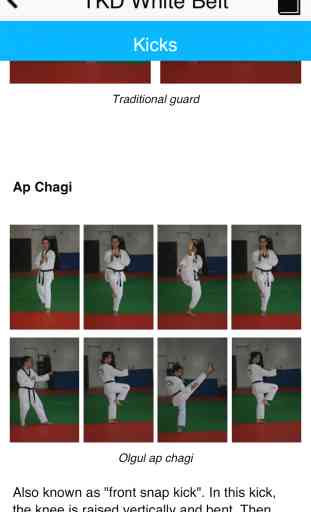 The Taekwondo White Belt 2